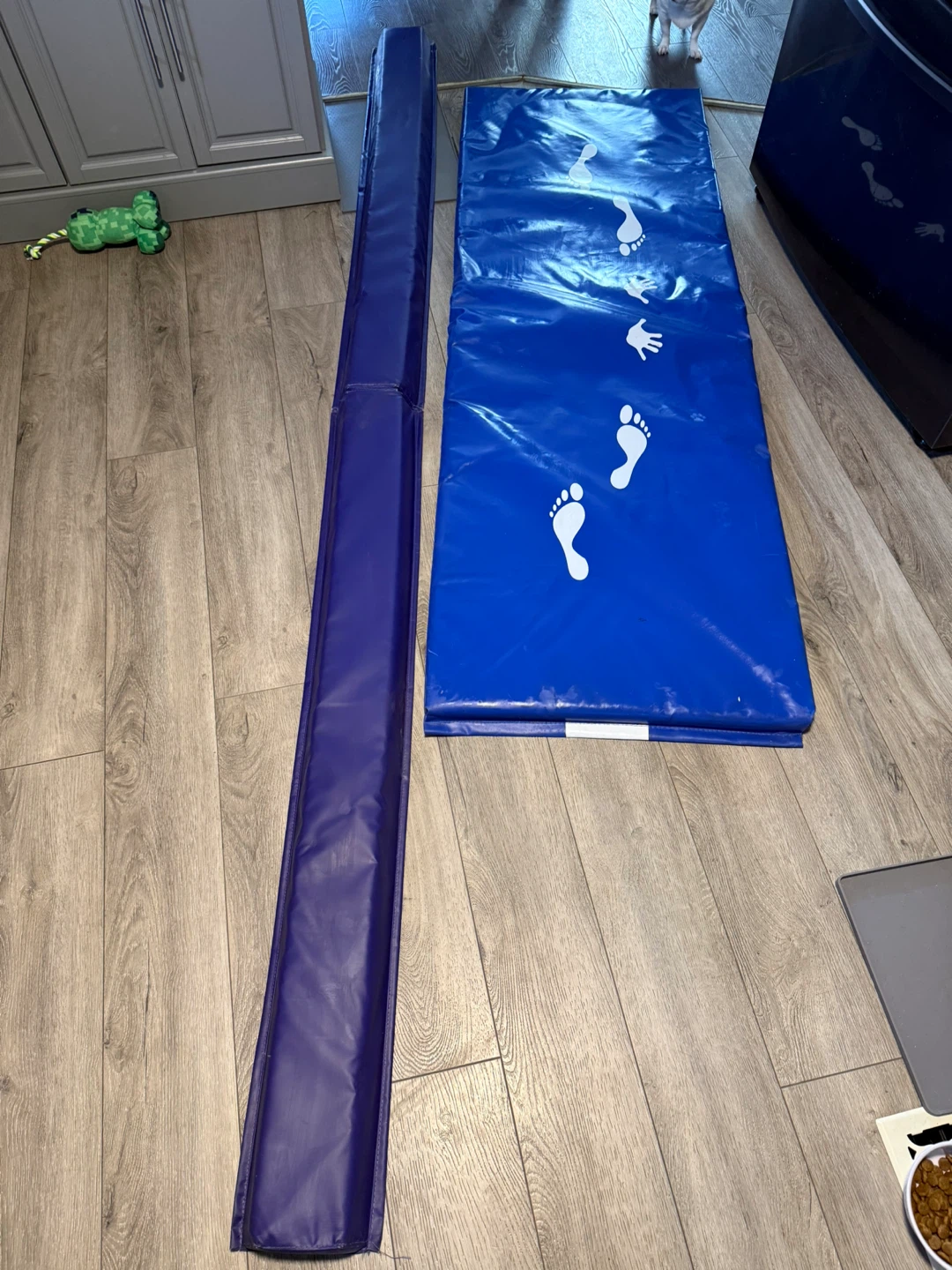 Athletic Training Mat with Footprints - photo 3