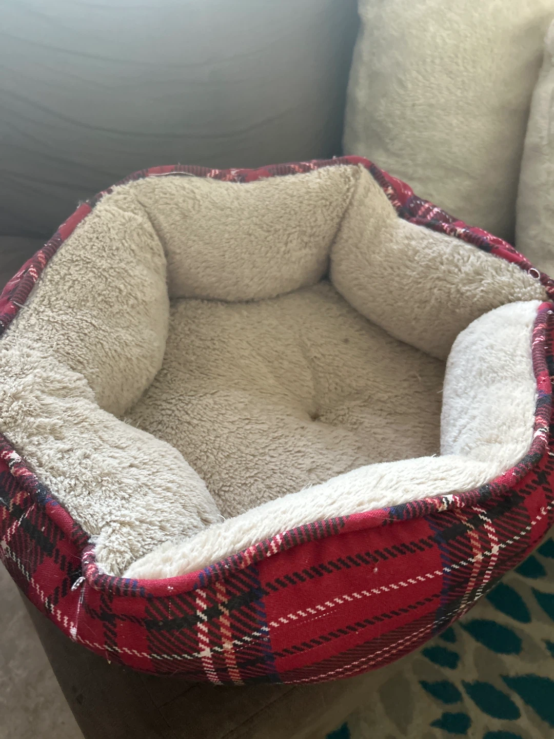 Cat bed (used, good condition)