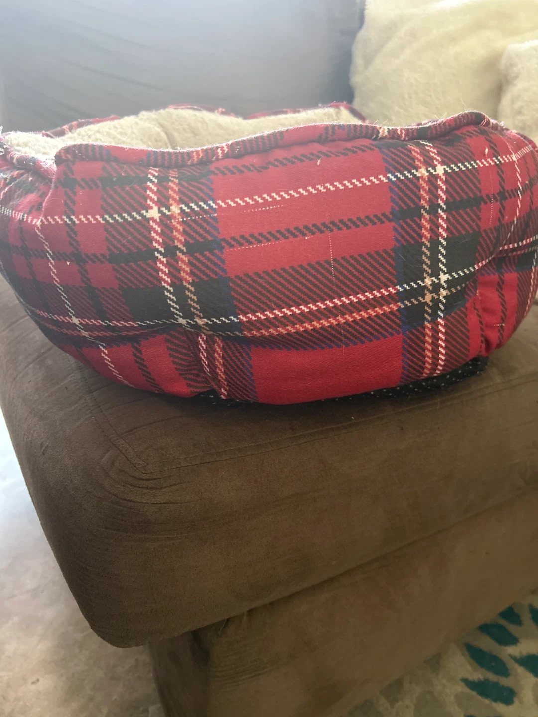 Cat bed (used, good condition) - photo 2