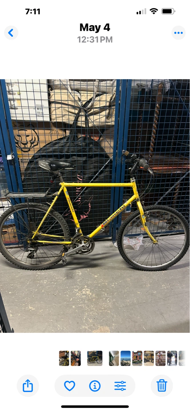 Bianchi Beater Bike