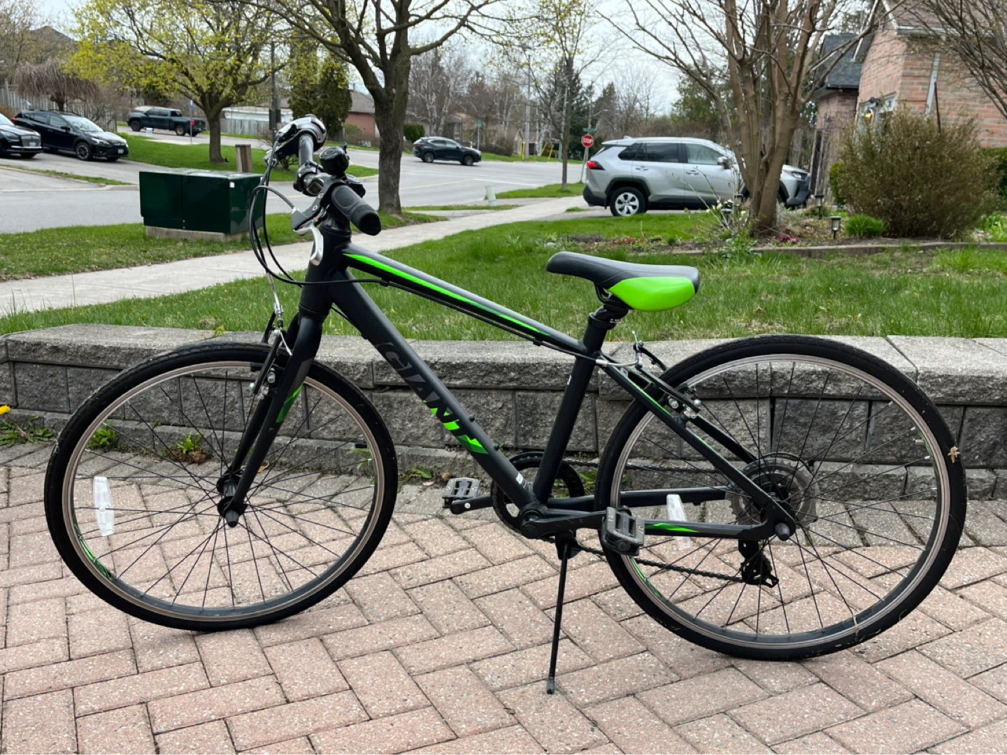Giant Kids Bike