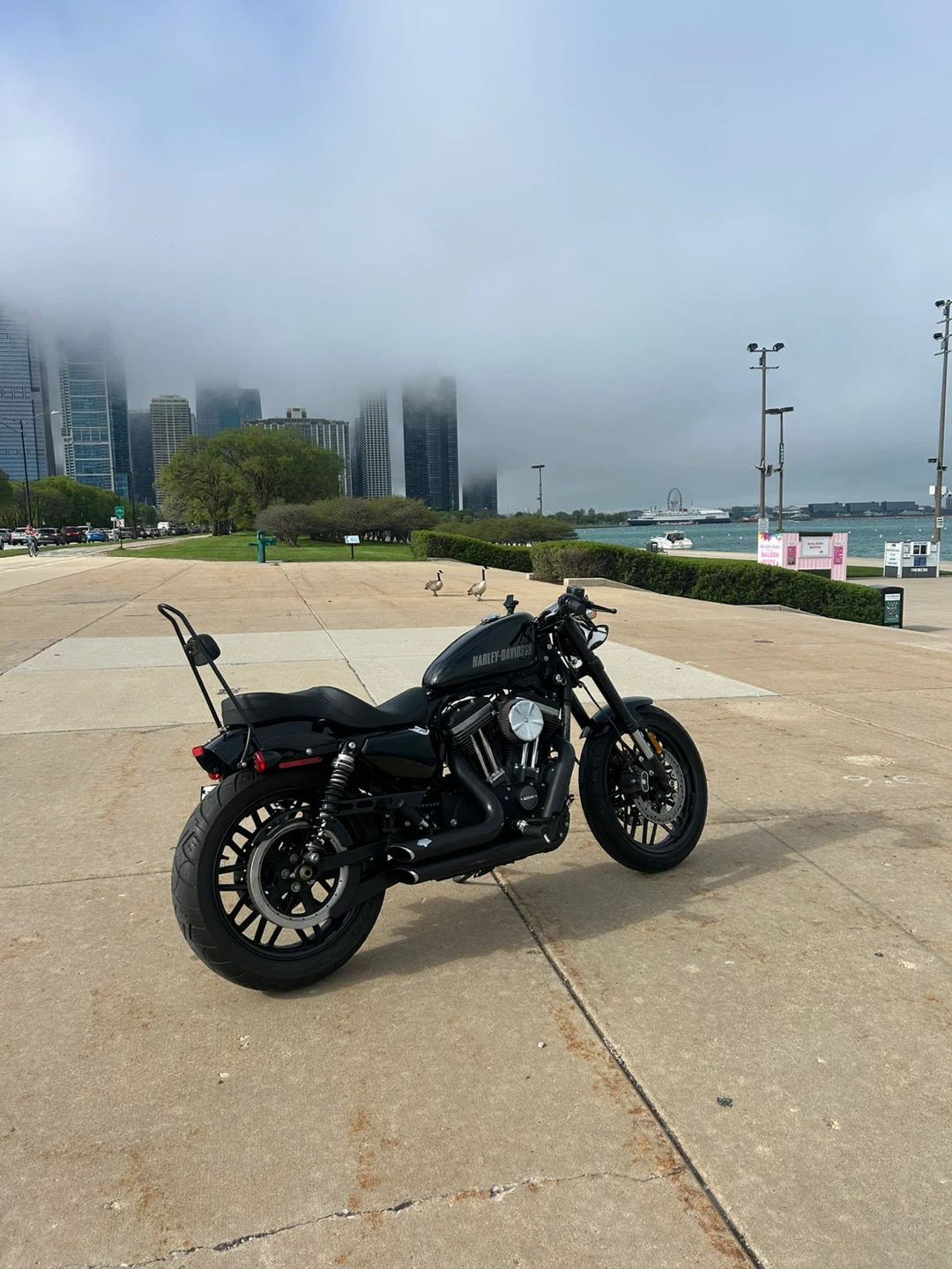2016 Harley-Davidson Roadster XL1200CX - photo 3