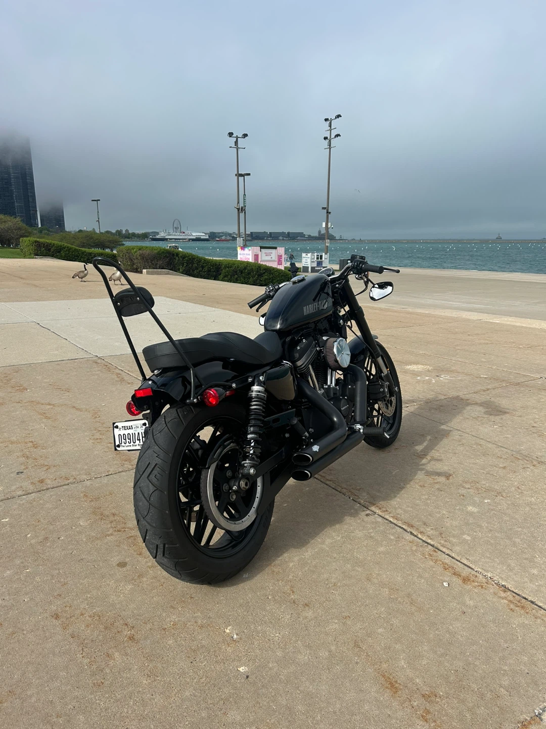 2016 Harley-Davidson Roadster XL1200CX - photo 4
