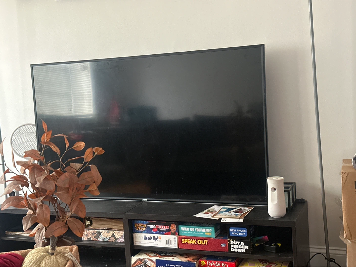 Vizio 65"