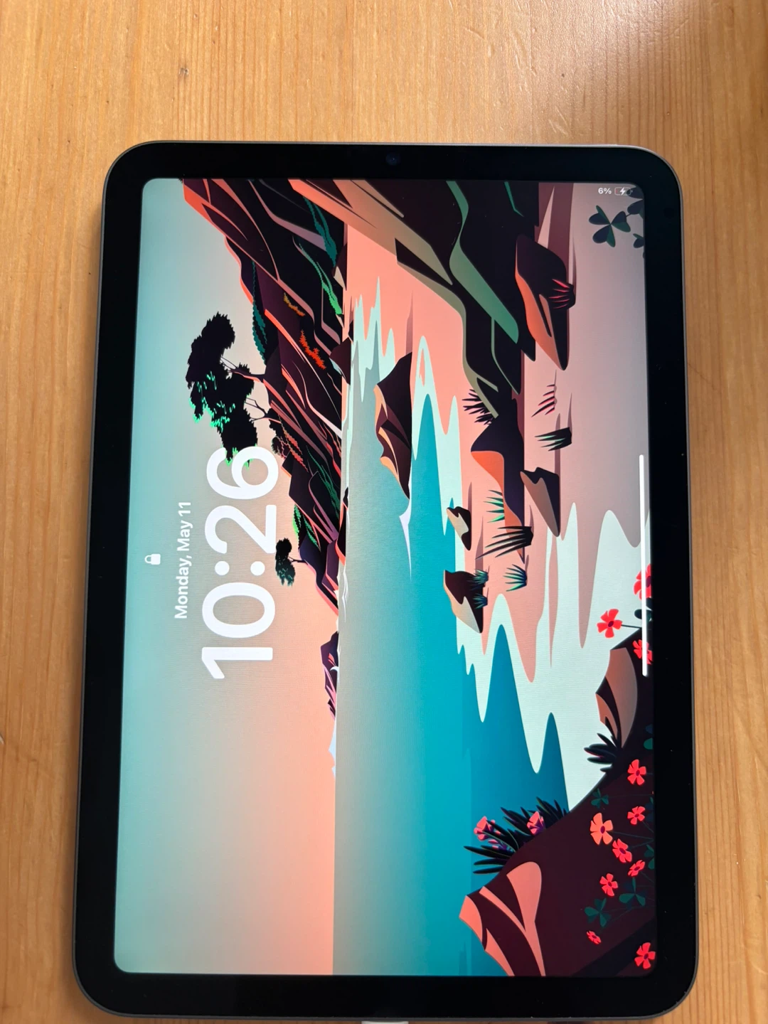 Apple iPad Mini 6th Gen (Space Gray) - photo 5