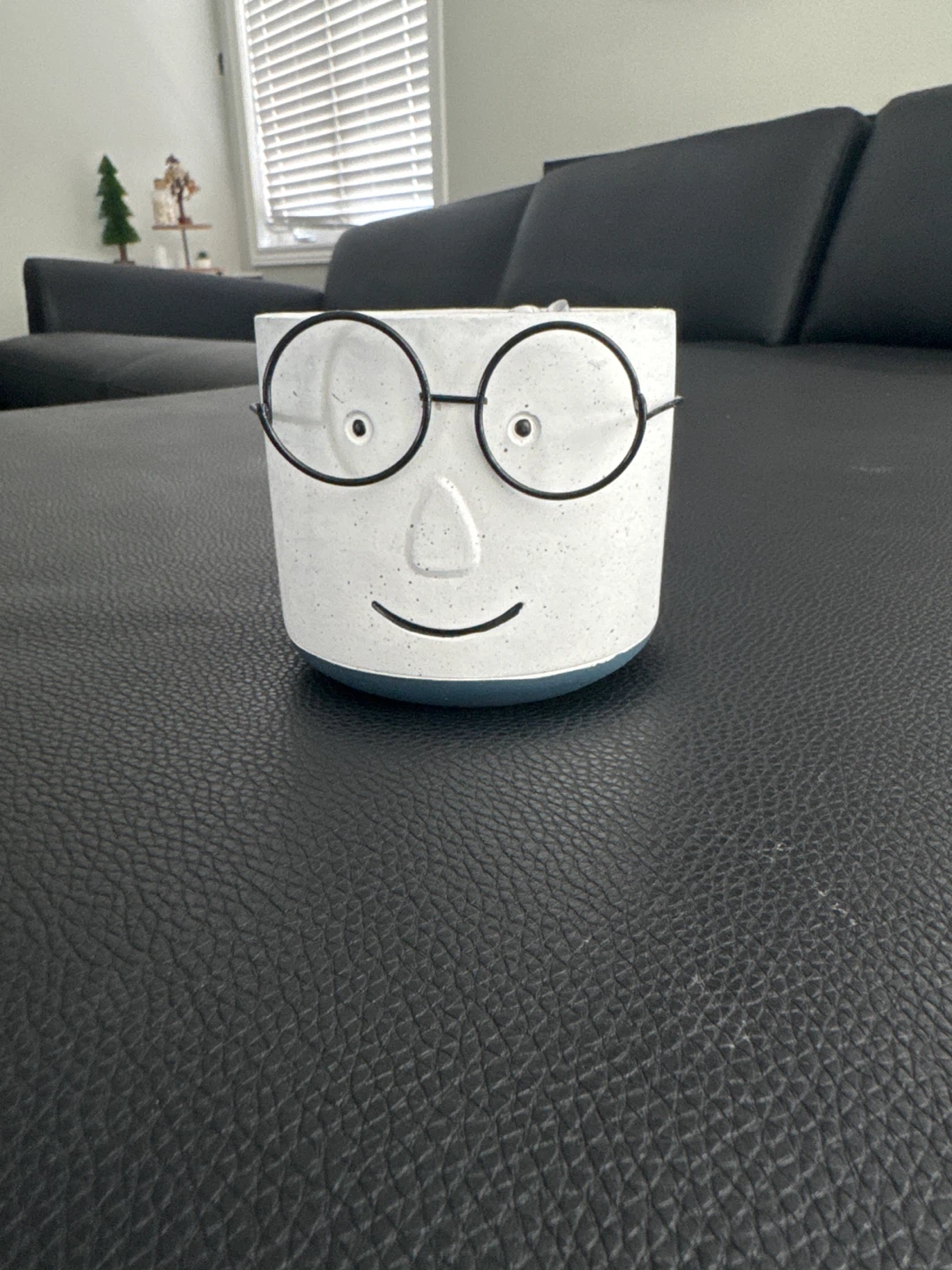Face Planter Pot with Glasses