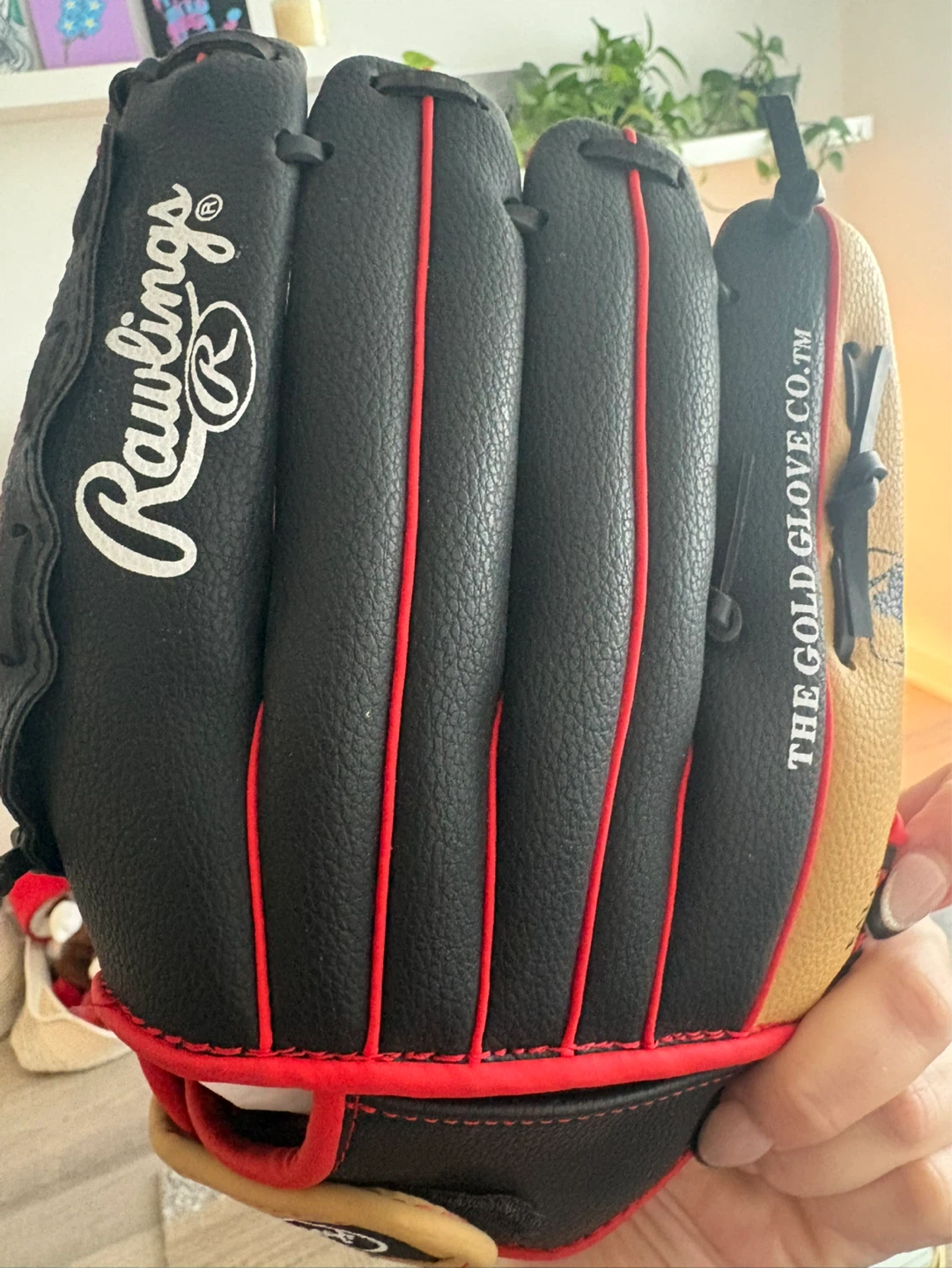 Rawlings PL11CBS 11 Inch Baseball Glove - photo 3