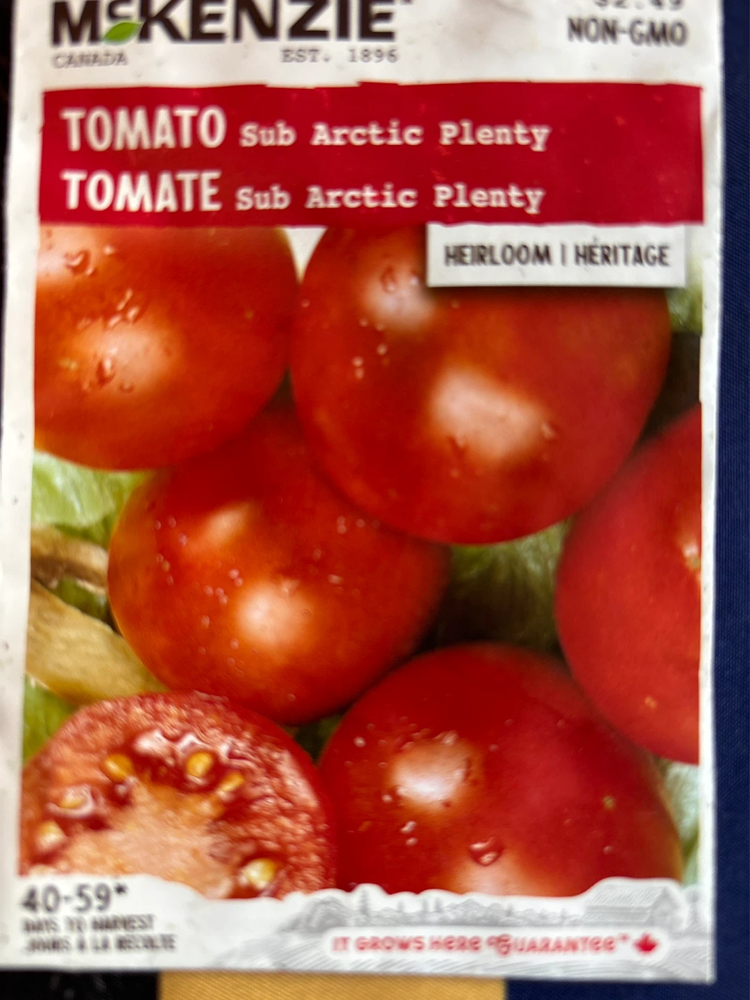 Sub Arctic Plenty Tomato Seedlings