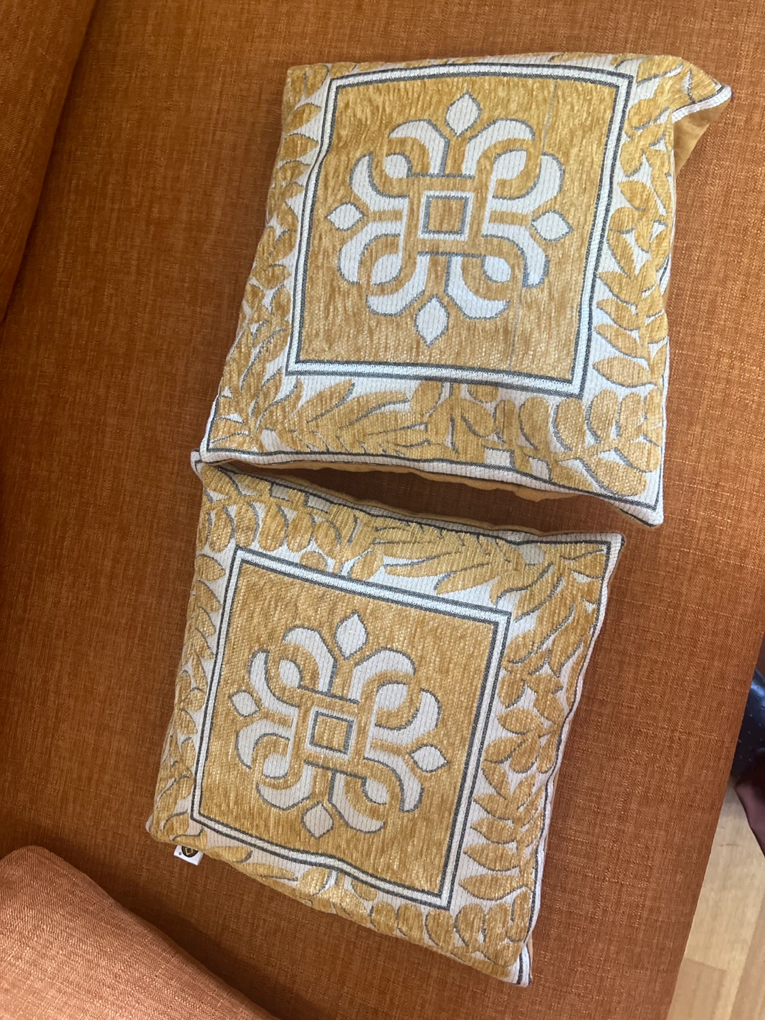 Set of 2 Pretty Cushions