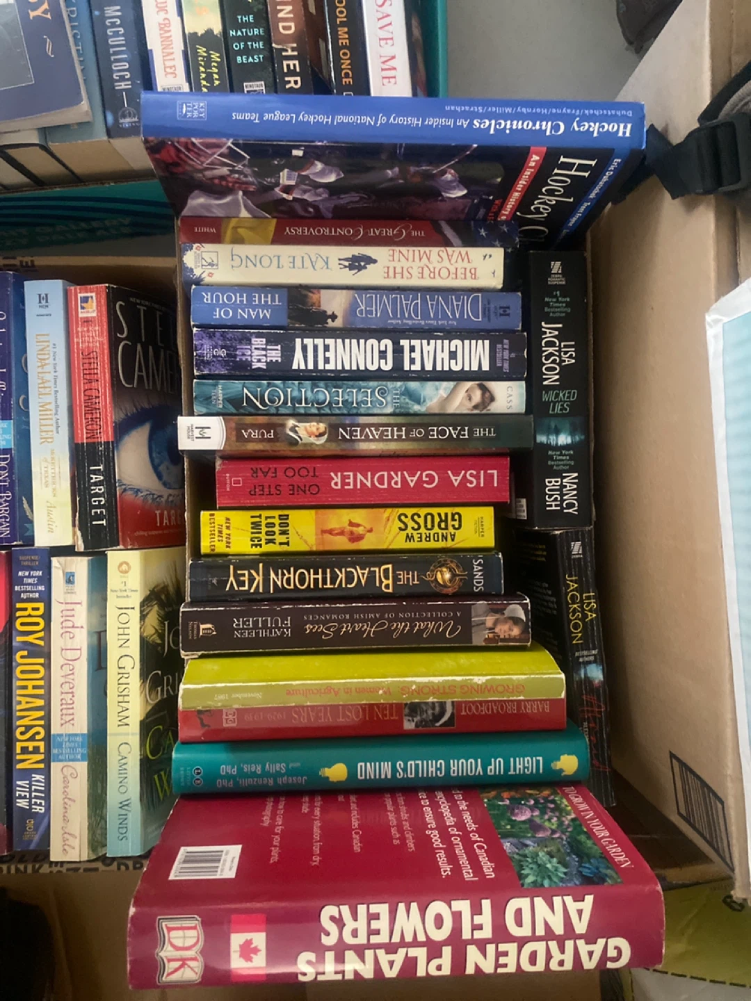 Assorted Paperback Books - photo 3