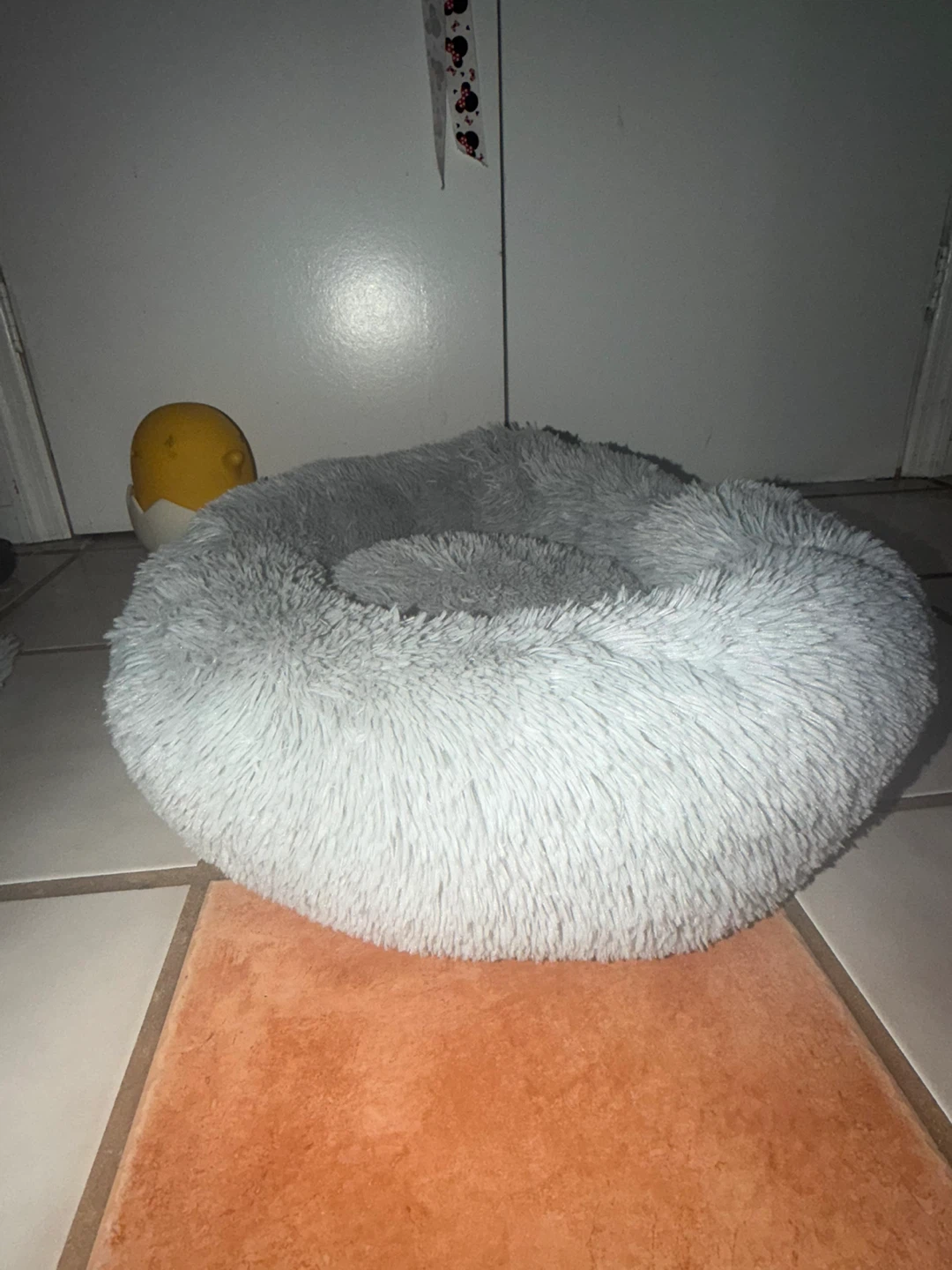 Cat bed