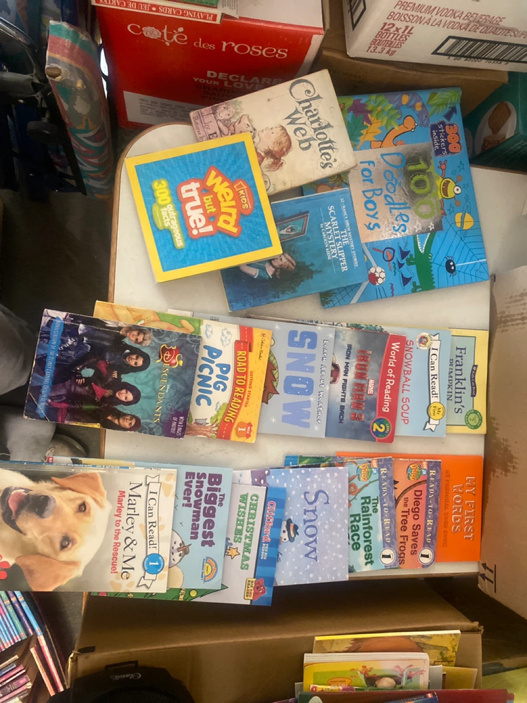 Assorted Children's Books - Various Authors and Titles - photo 2