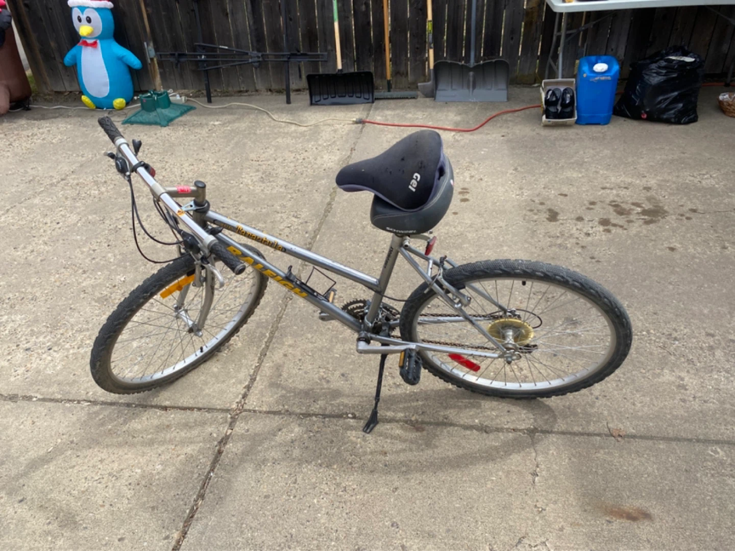 Girls bike