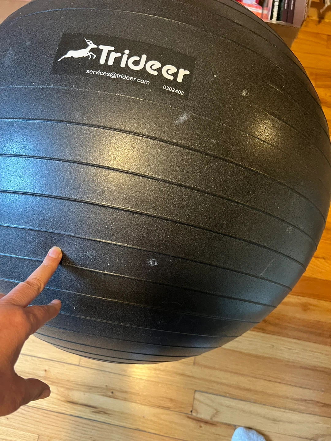 Trideer Exercise Ball
