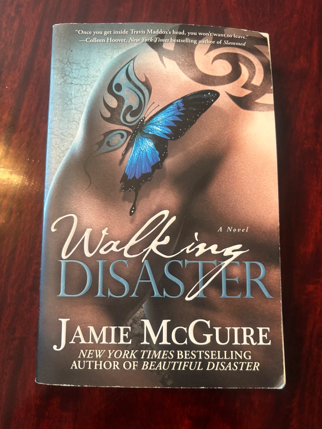 Walking Disaster A Novel by Jamie McGuire