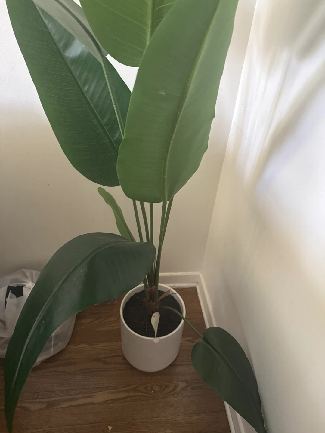 Artificial Bird of Paradise Plant