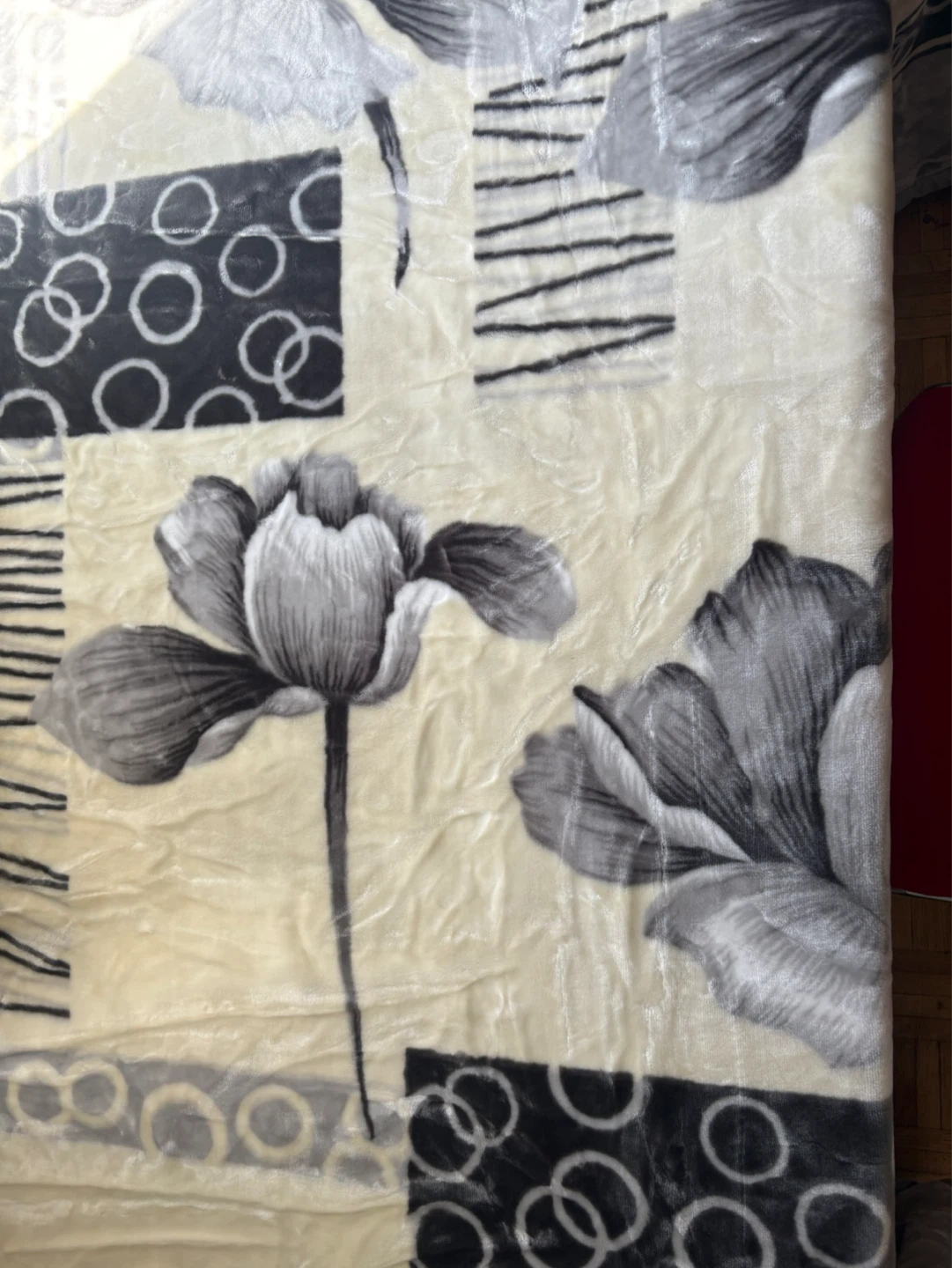 Mega Dream Touch Super Soft2 Ply Embossed Blanket Queen/King - photo 2