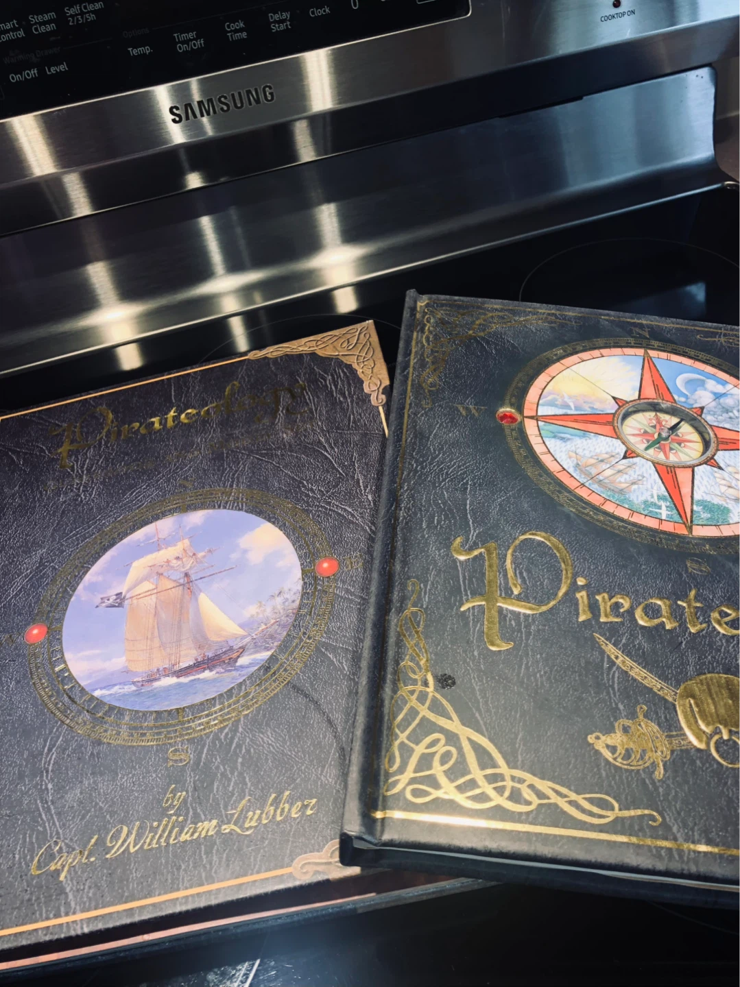 Pirateology: Ultimate Encyclopedia of Pirates - photo 2