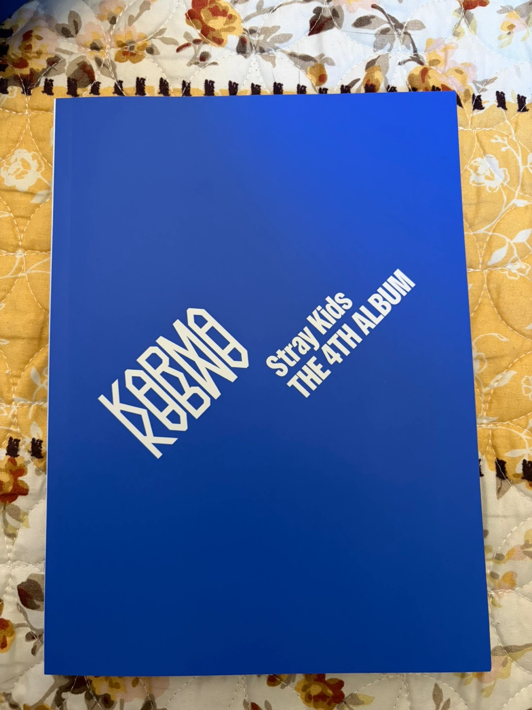 Official Stray Kids Karma Album Ceremony Ver. - photo 5