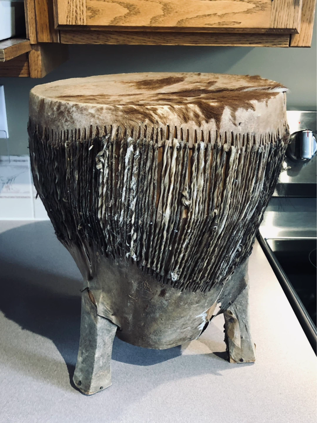 Taco Drums and other various bongo drums 🪘 - photo 4