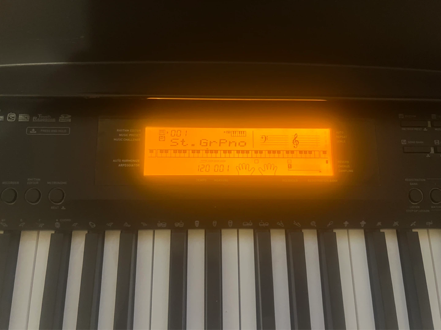 Casio CDP-220R Digital Piano with Bench and Stand - photo 5