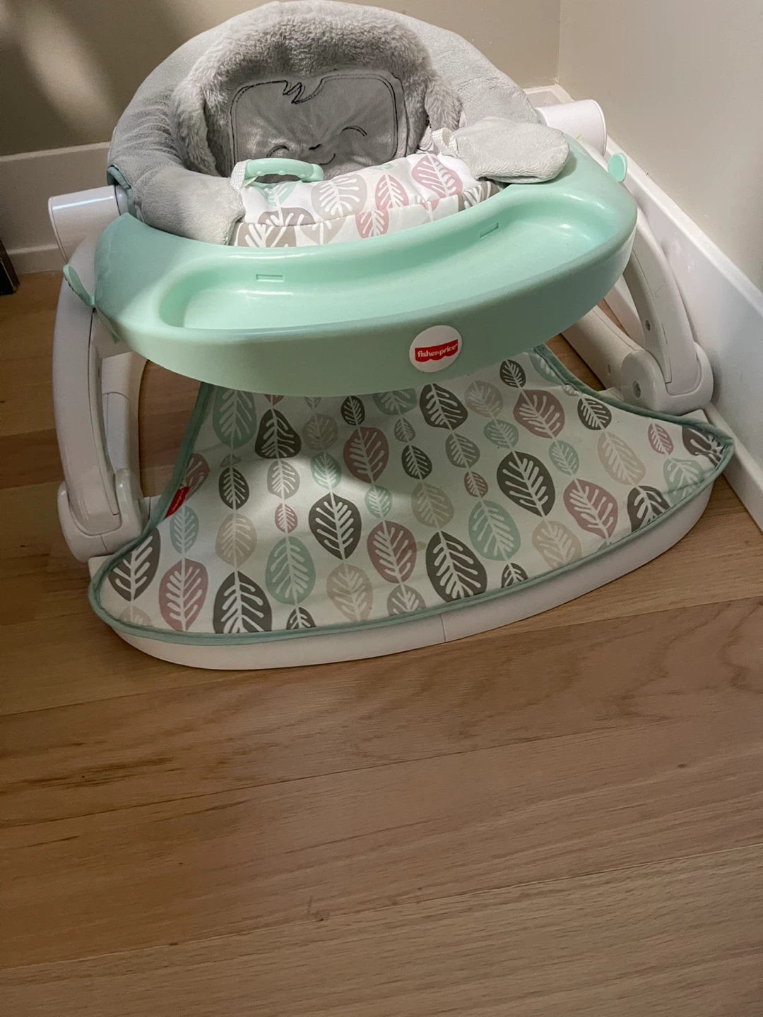 Fisher-Price Baby Bouncer Seat