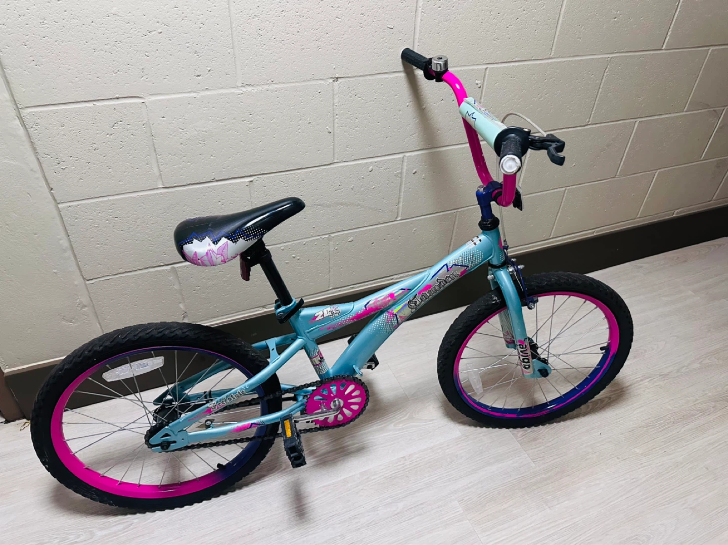 Girls' 20" Bicycle