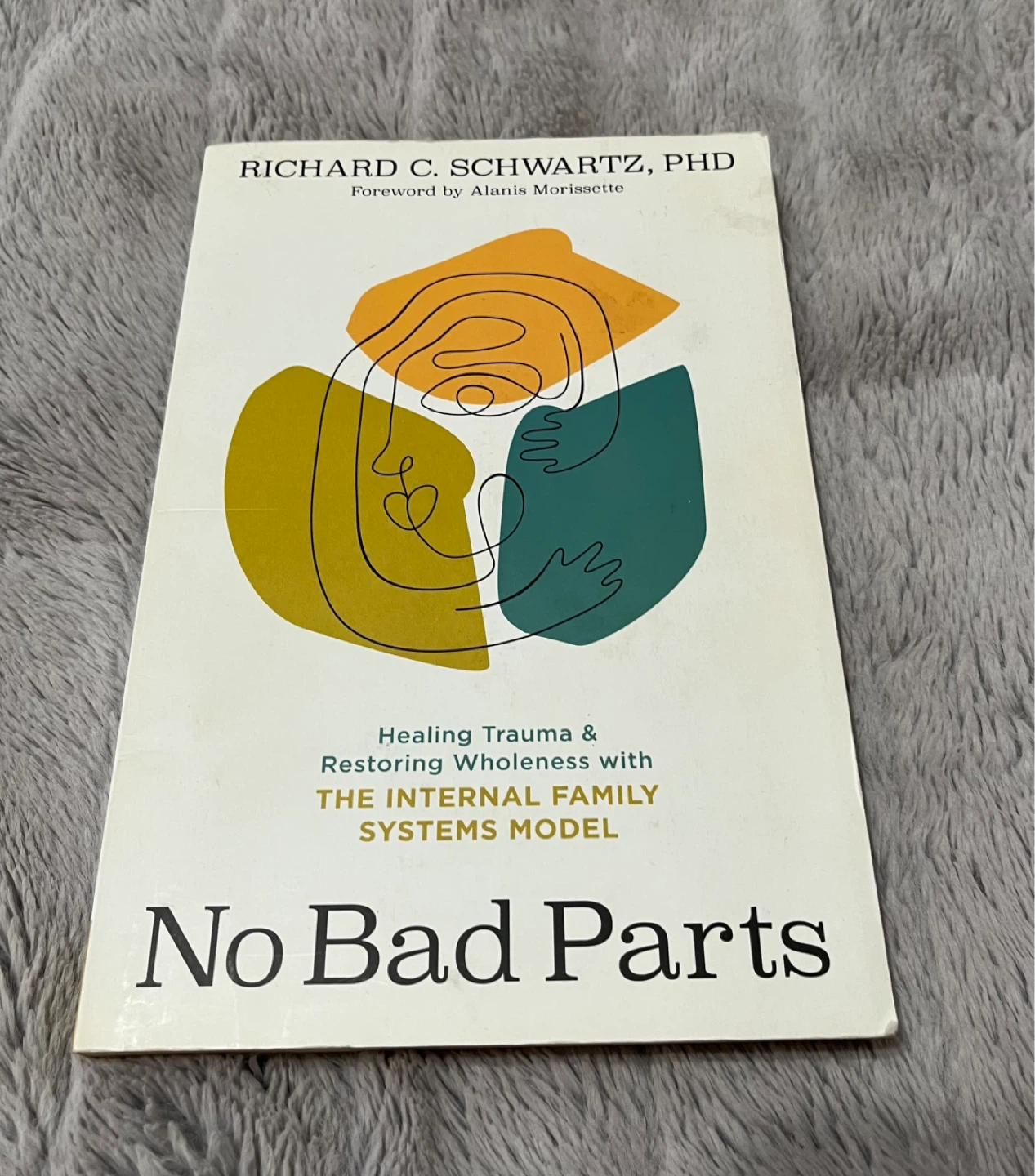 No Bad Parts by Richard C. Schwartz, PhD Book