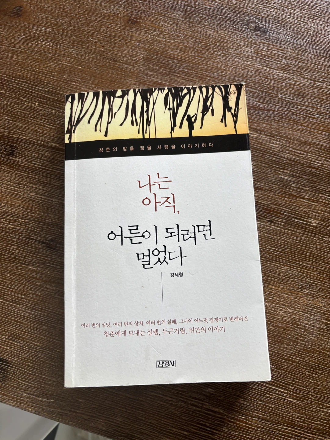 Korean book