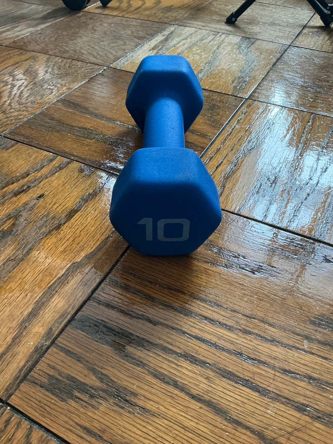 Blue 10lb Dumbbell - photo 2