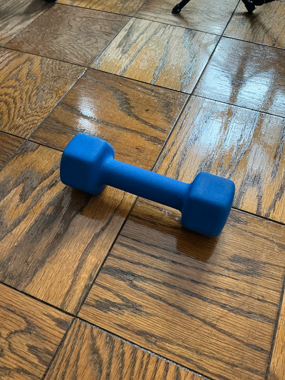 Blue 10lb Dumbbell