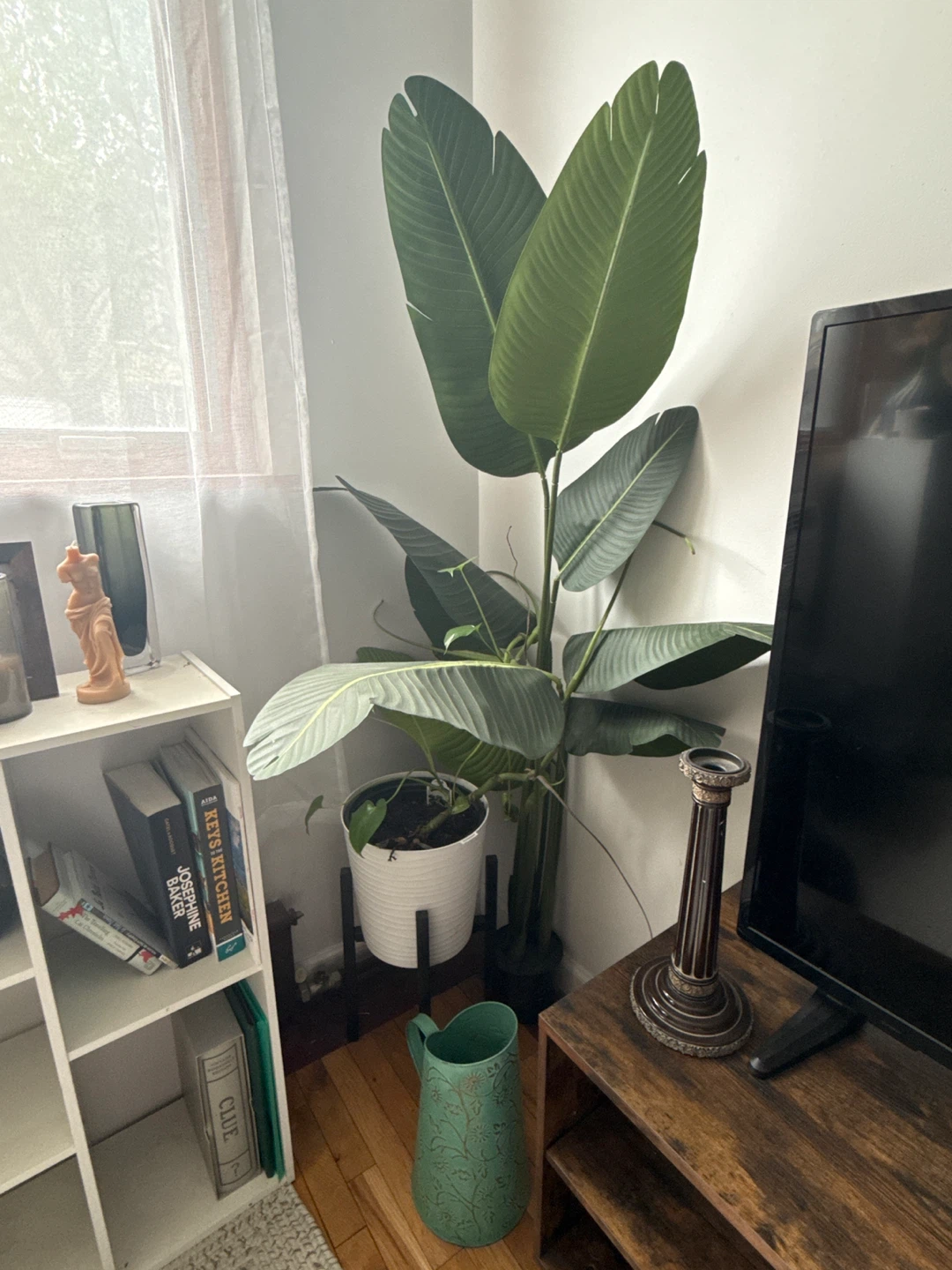 Fake long plant