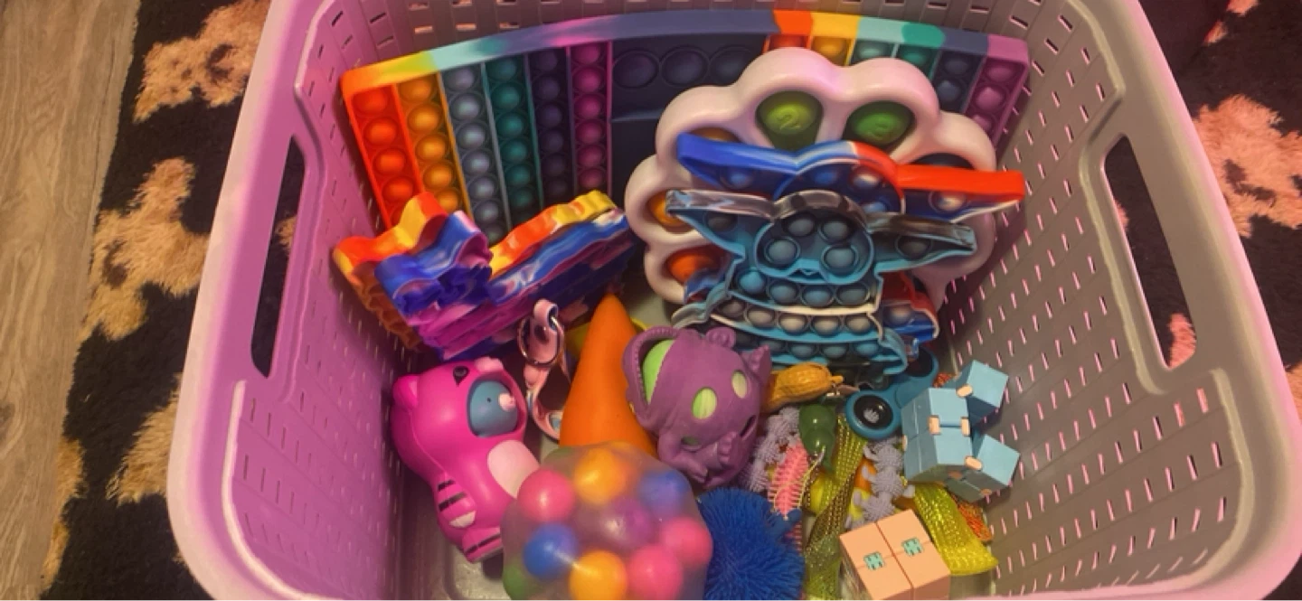 Assorted Fidget Toys Lot