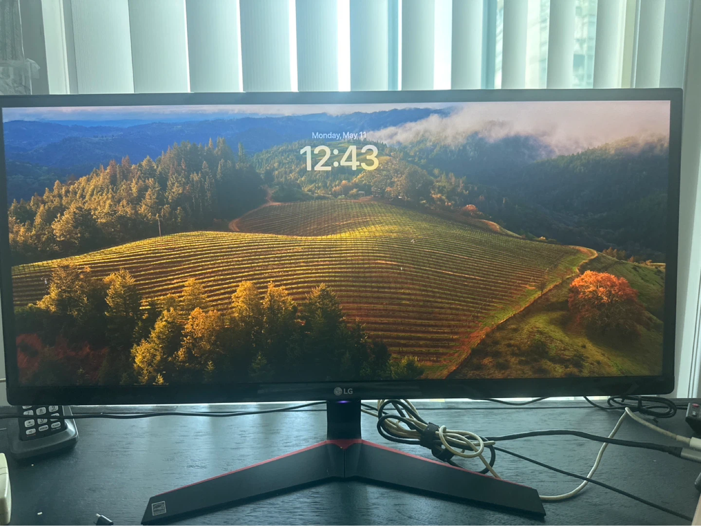 LG 29 inch UltraWide Monitor
