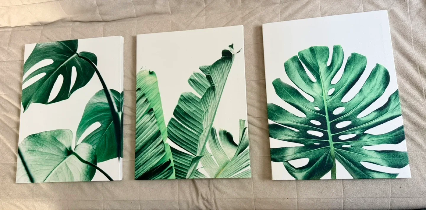 Modern Tropical Canvas Wall Art Set – Set of 3