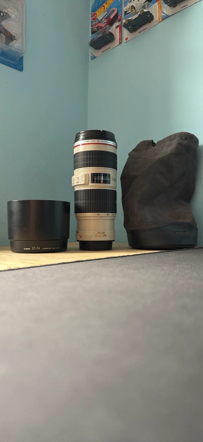 Canon EF 70-200mm f/4L IS USM Telephoto Zoom Lens