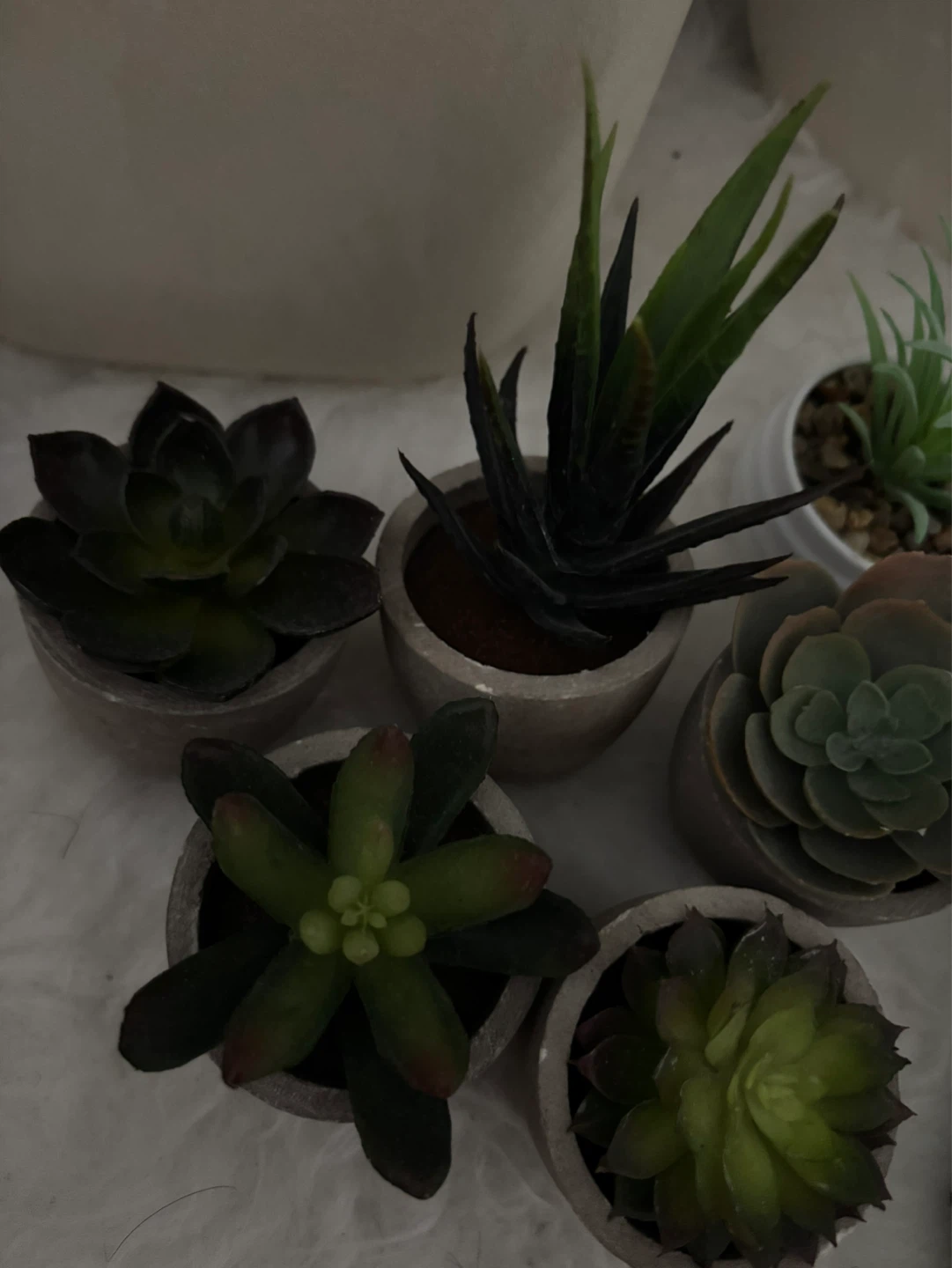 Set of 7 Artificial Succulents in Pots - photo 2