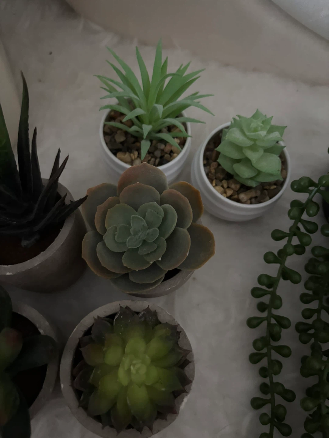 Set of 7 Artificial Succulents in Pots - photo 3