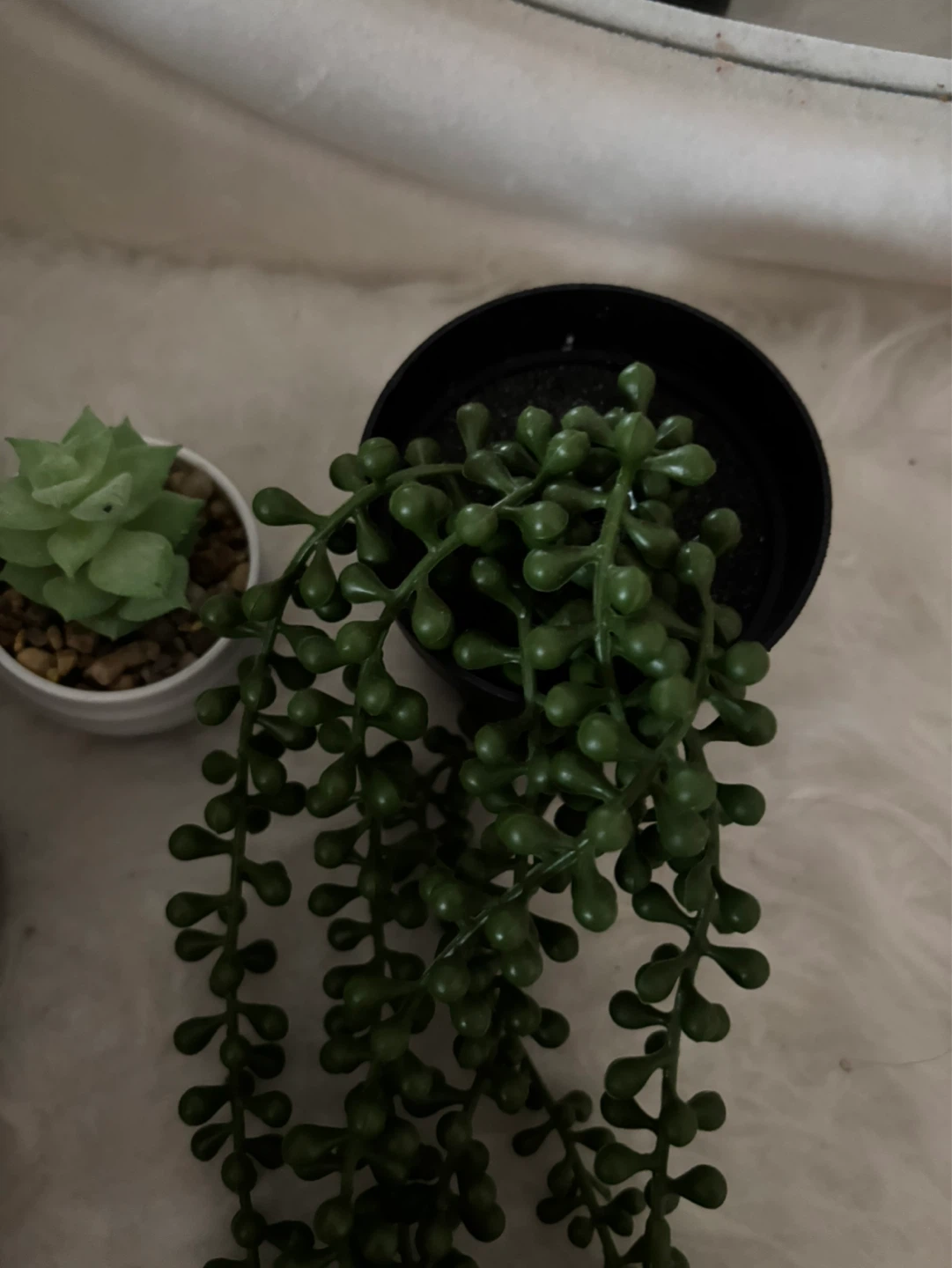 Set of 7 Artificial Succulents in Pots - photo 4