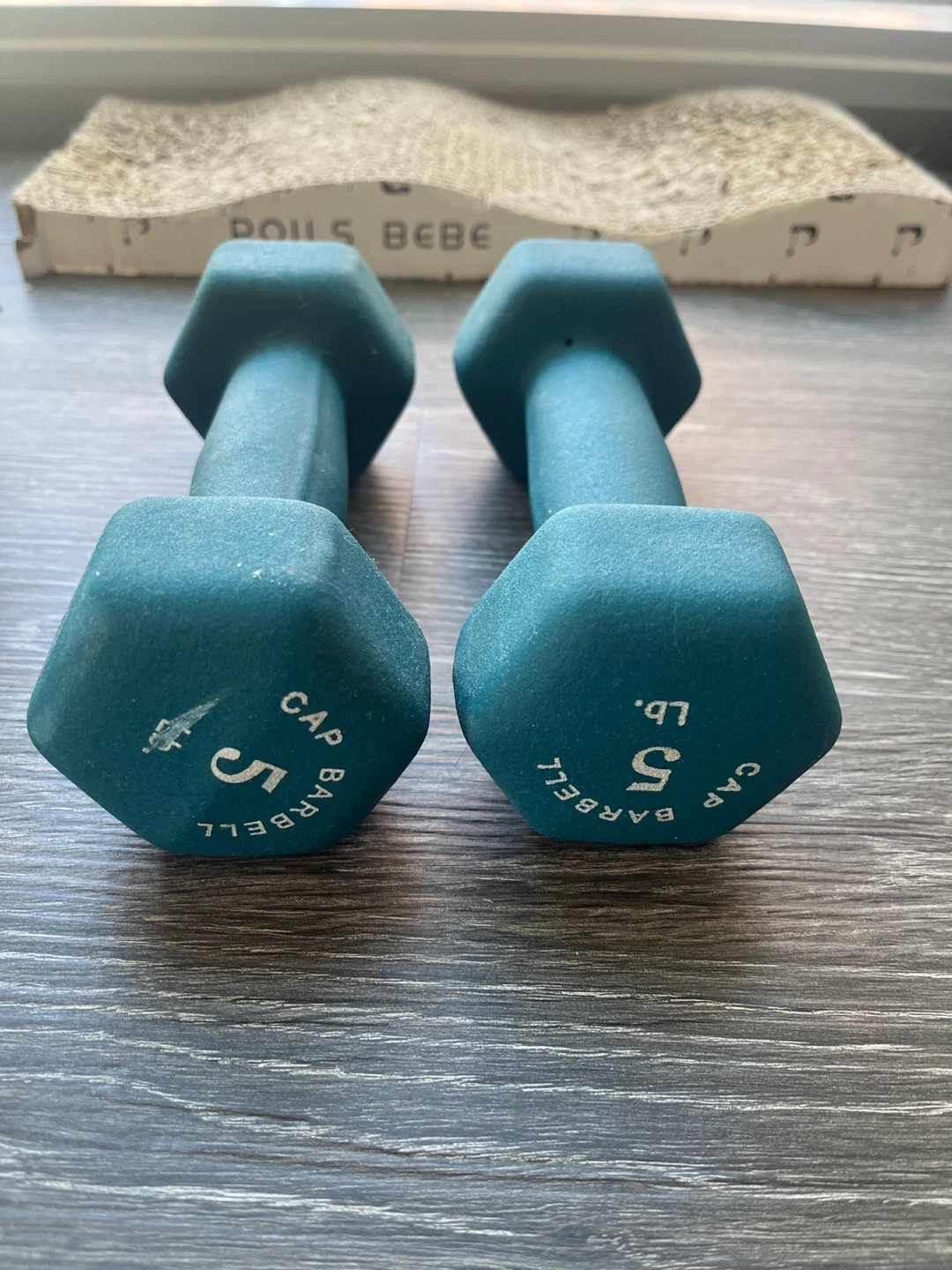 5 lb Dumbbells (Set of 2)