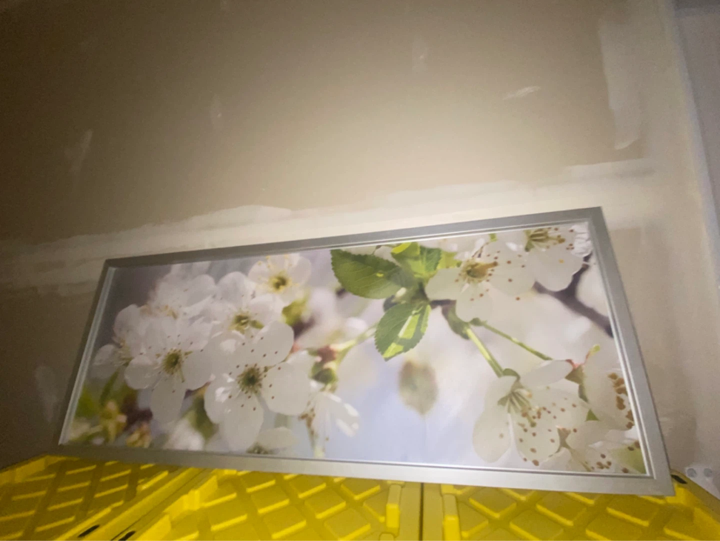 Framed Floral Blossom Wall Art