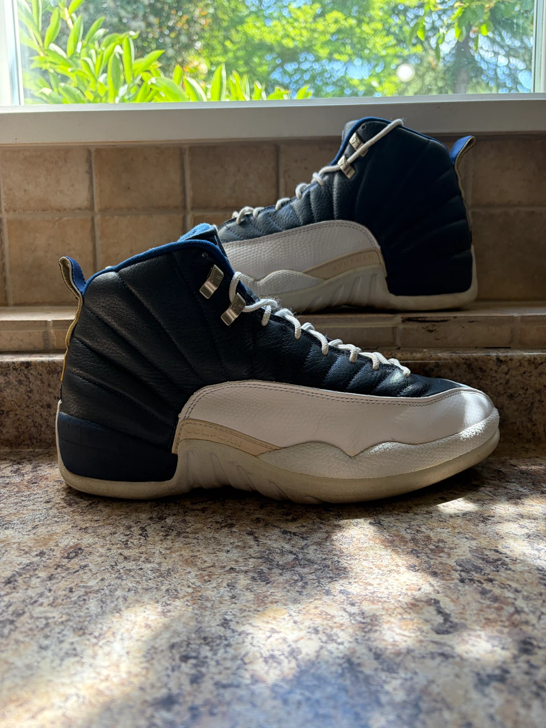 Air Jordan 12 "The Master" Men's Sneakers