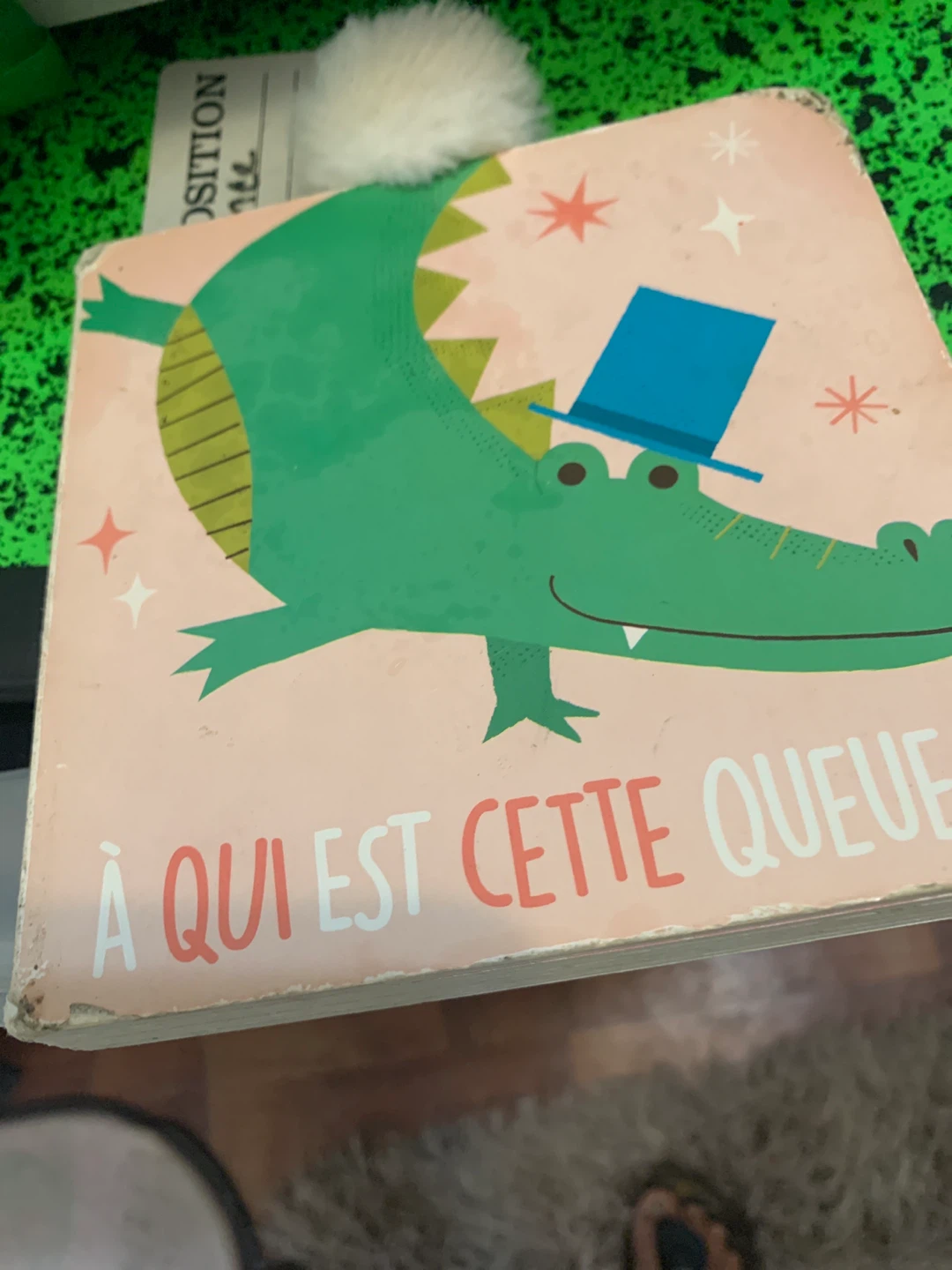 A Qui Est Cette Queue? Children's Book