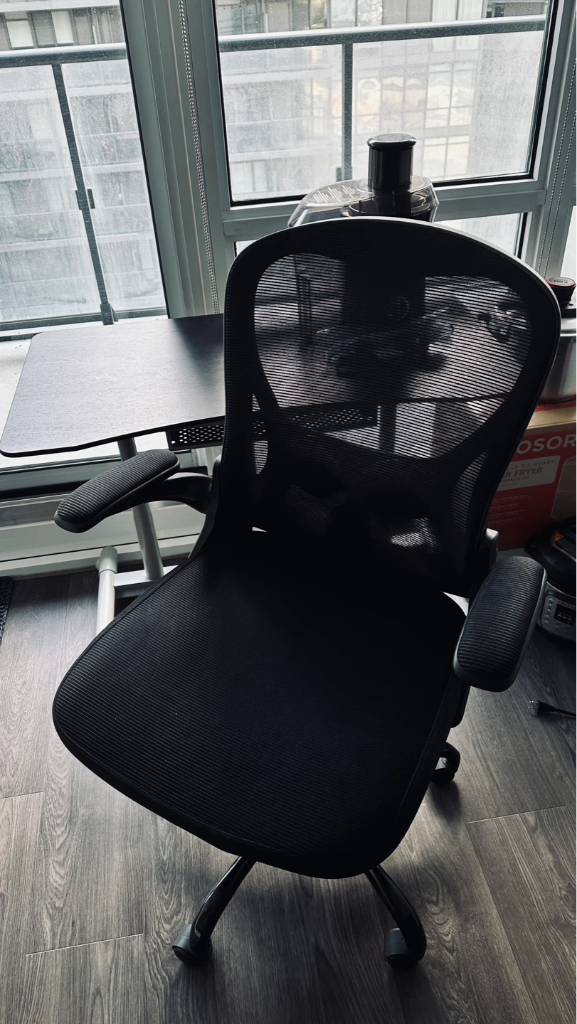 Black Mesh Ergonomic Office Chair