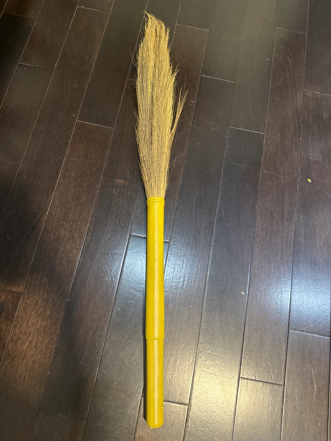 Yellow Broom