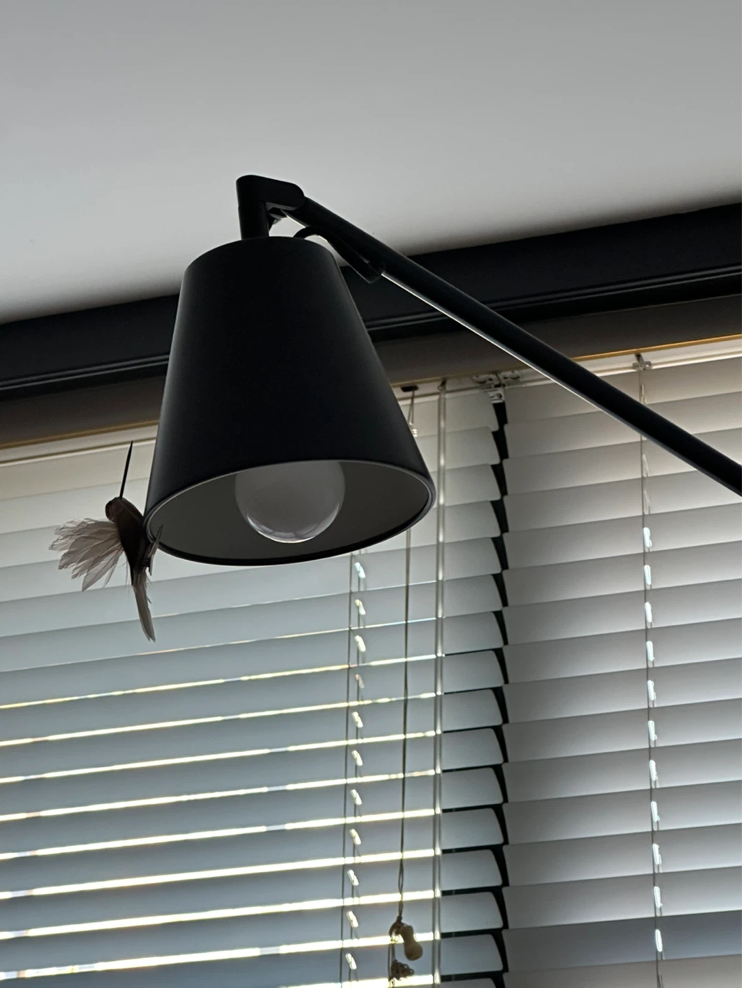 Adjustable Black Wall-Mounted Swing Arm Lamp - photo 3