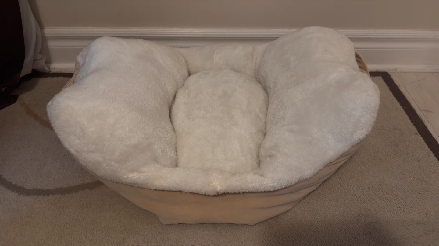 Pet Bed