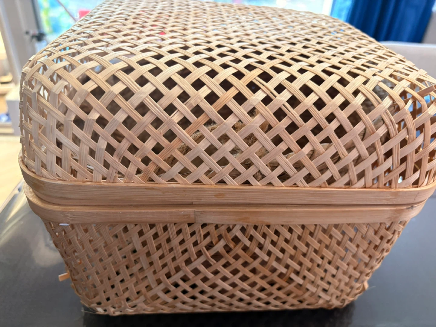 Woven Bamboo Basket