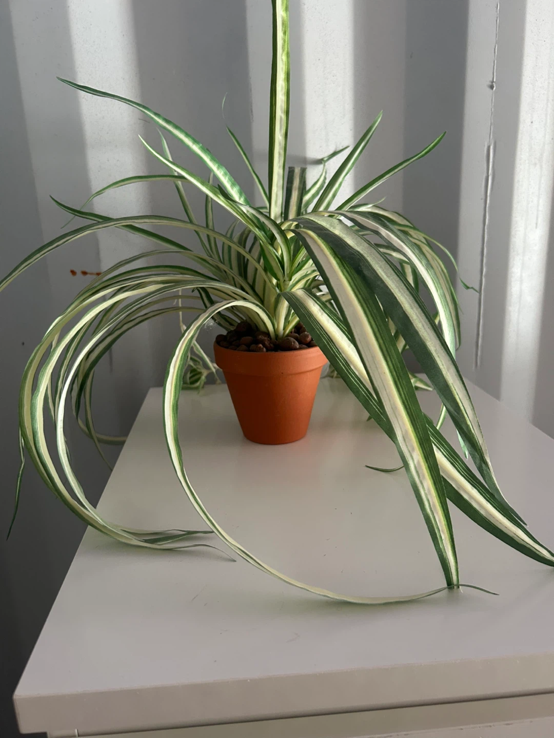 Faux Spider Plant