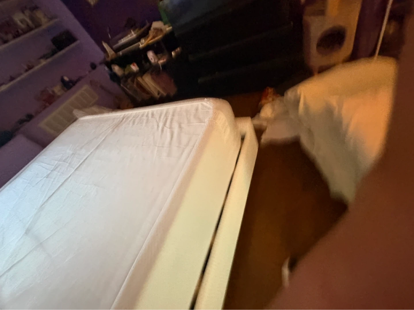 Zinus Mattress - photo 3